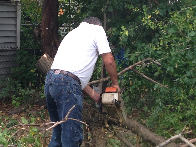 NYC Tree Cutting Service