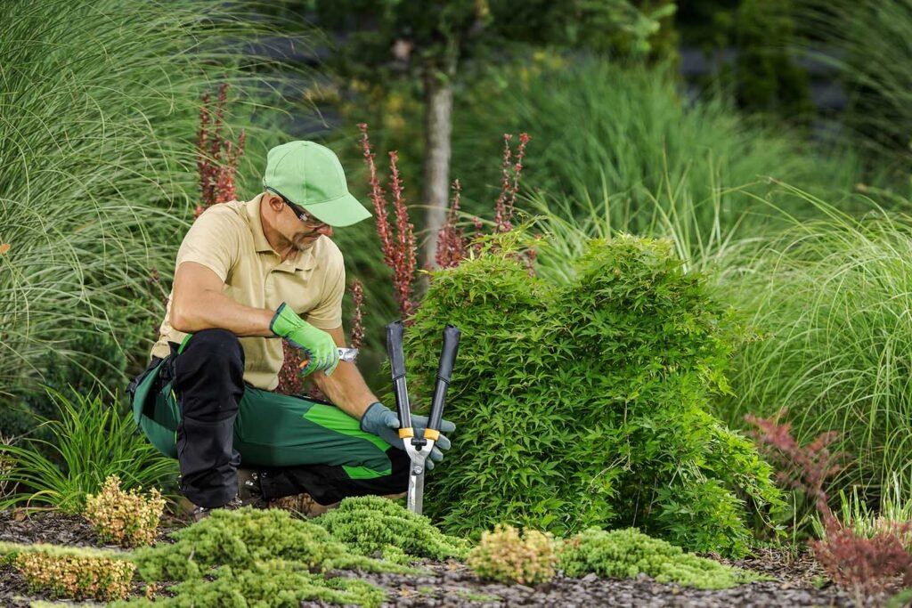 Affordable Tree Service New York City, NY | Licensed & Insured Experts